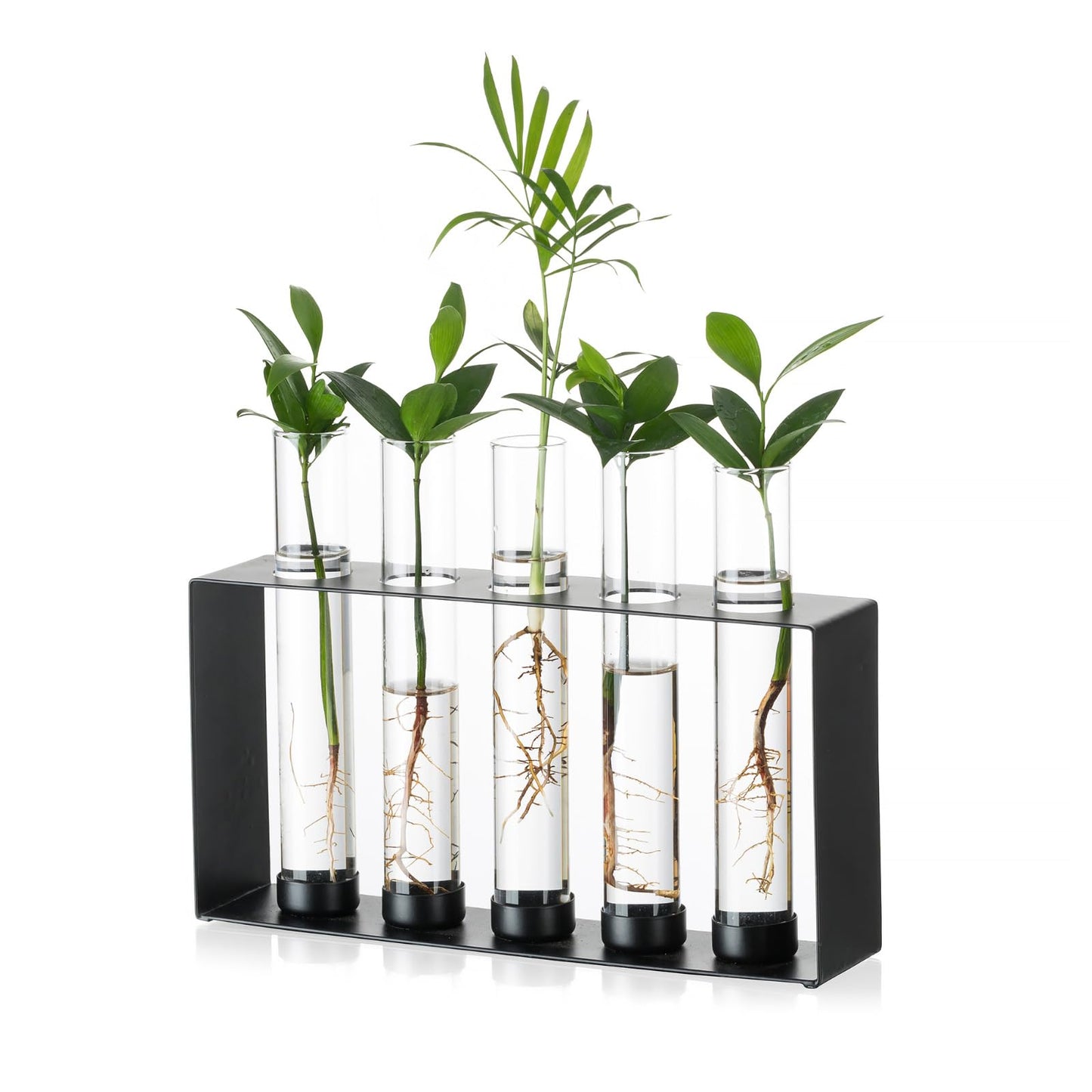 Plants Propagation Station - Glass Terrarium Vase with 5 Test Tubes for Hydroponics Plants