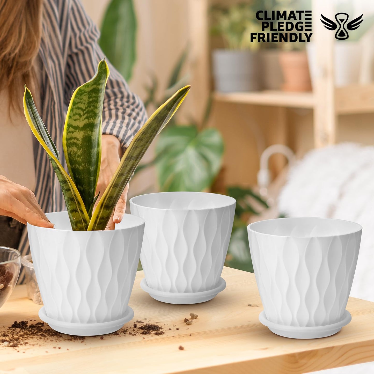 6 inch Plant Pots, 5 Pack Flower Pots Outdoor Indoor, Planters with Drainage Hole