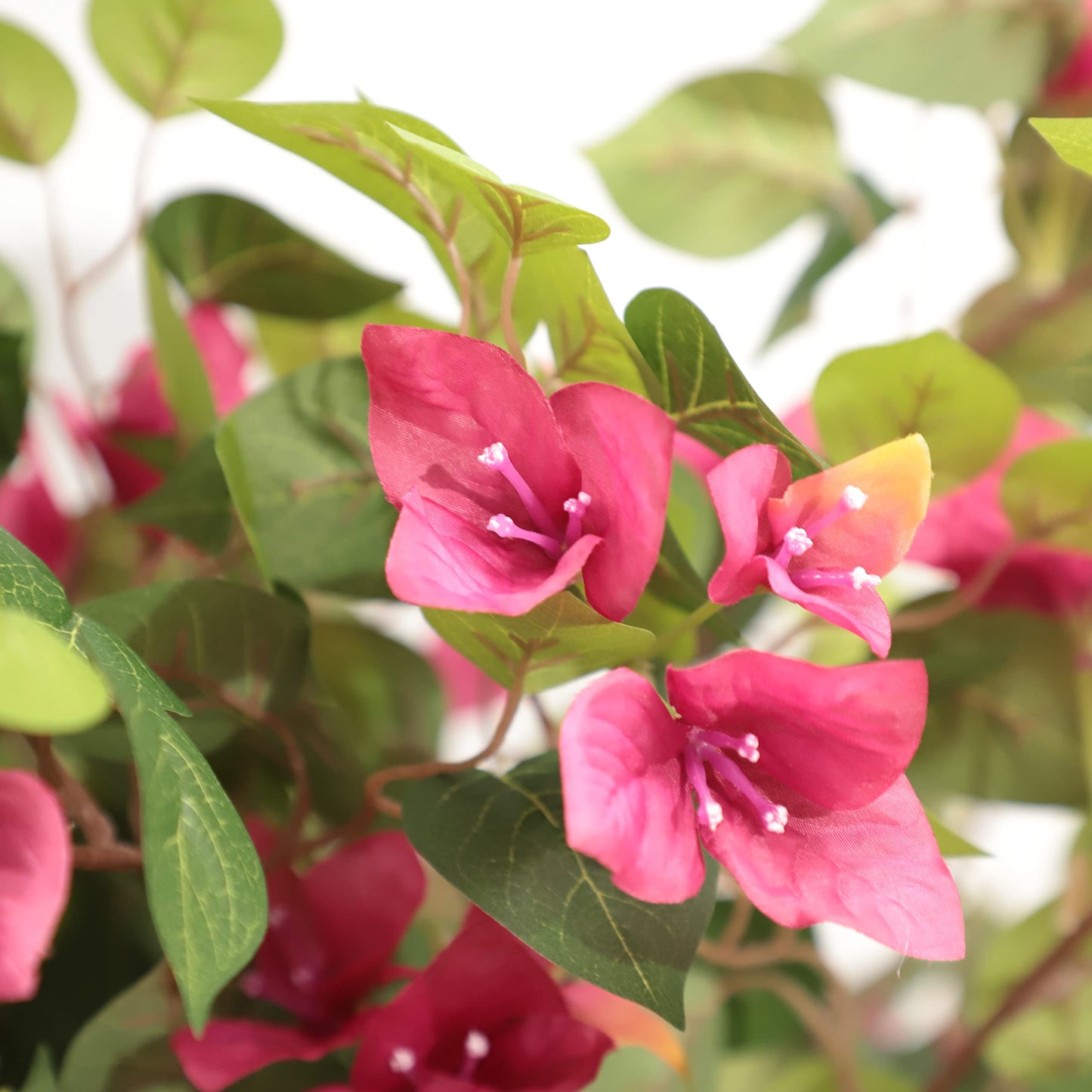 5 Feet Artificial Bougainvillea Tree with Flowers in Plastic Pot