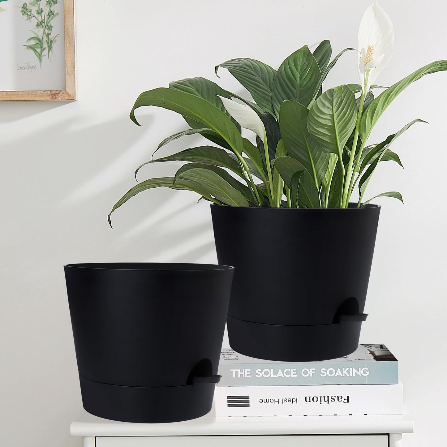 Indoor Self Watering Planters with Drainage Holes and Saucers, Black, 6 Pots