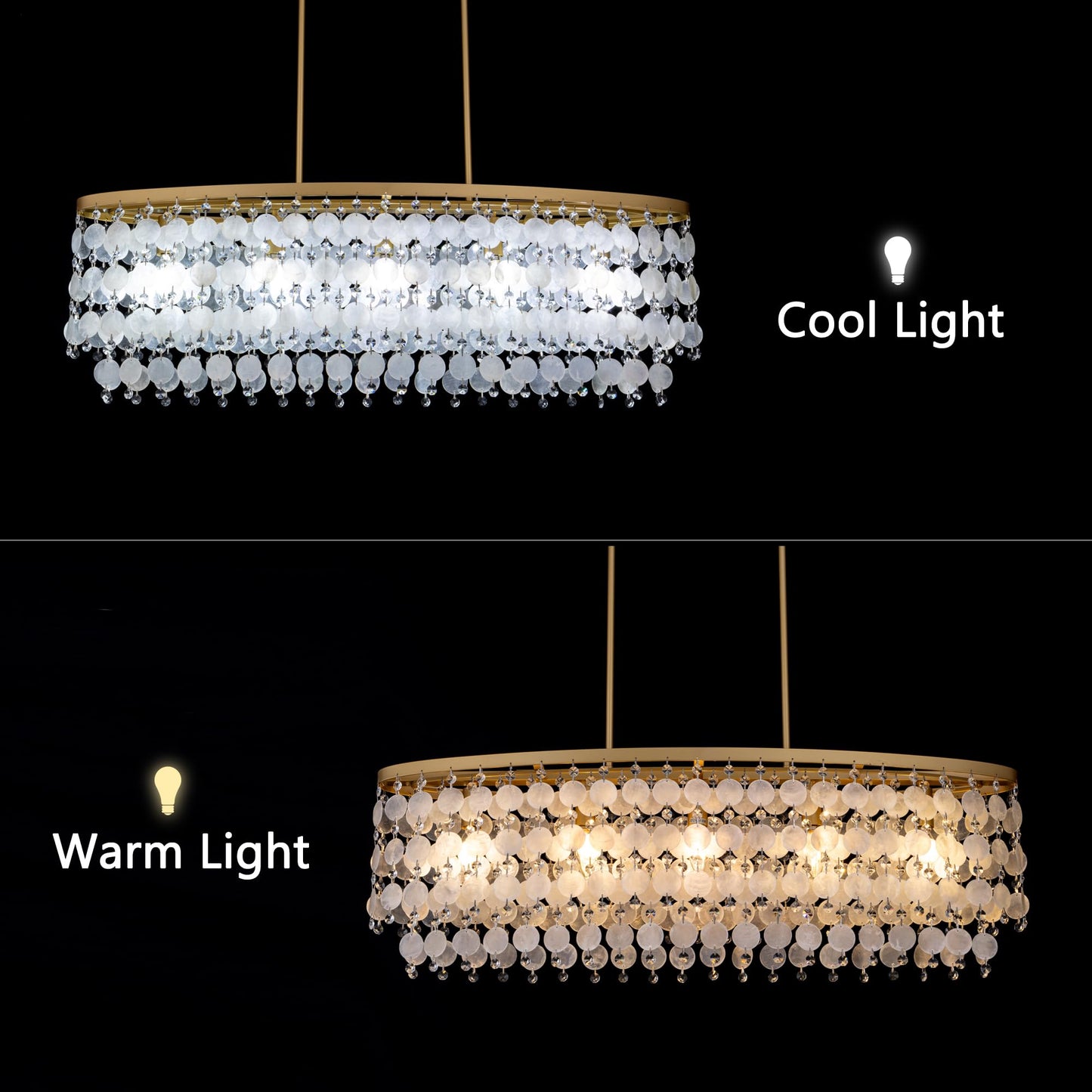 Shell Coastal Beach Lighting, 38.2" L Modern Gold Chandelier