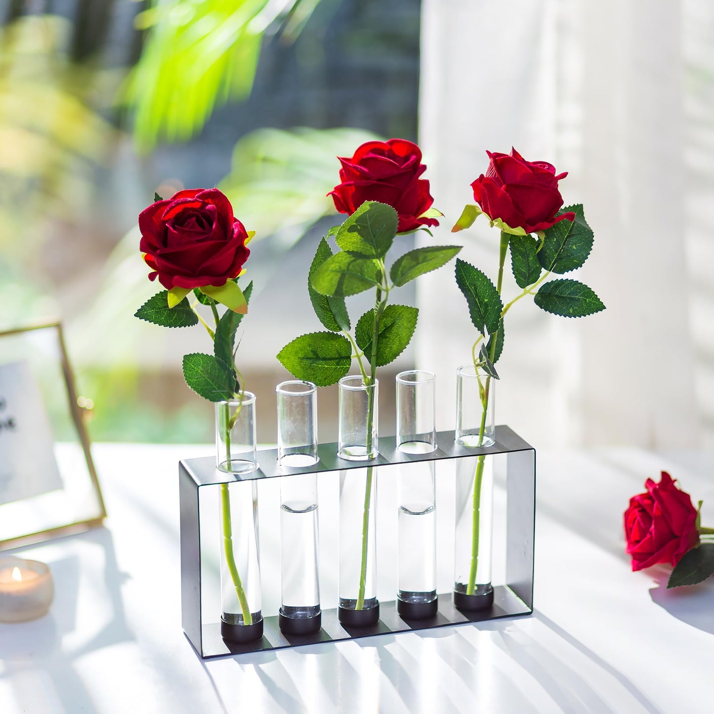 Plants Propagation Station - Glass Terrarium Vase with 5 Test Tubes for Hydroponics Plants