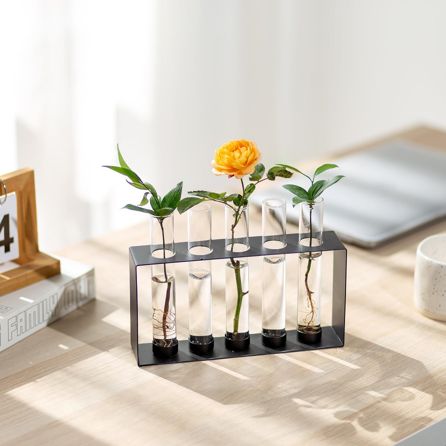 Plants Propagation Station - Glass Terrarium Vase with 5 Test Tubes for Hydroponics Plants