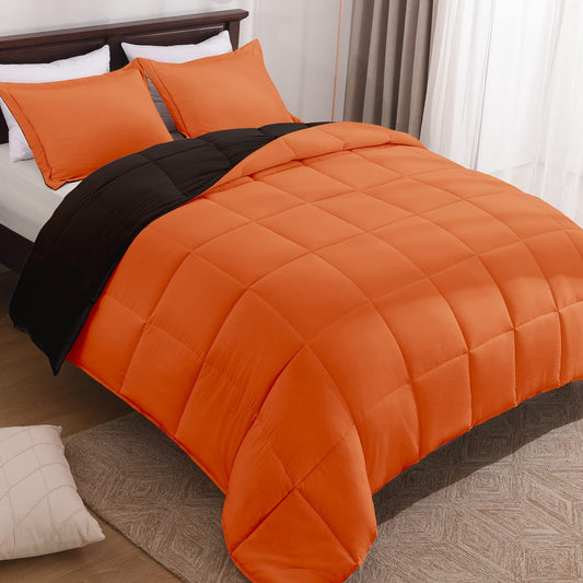 Fluffy Comforter Queen Set for All Seasons - Reversible Set