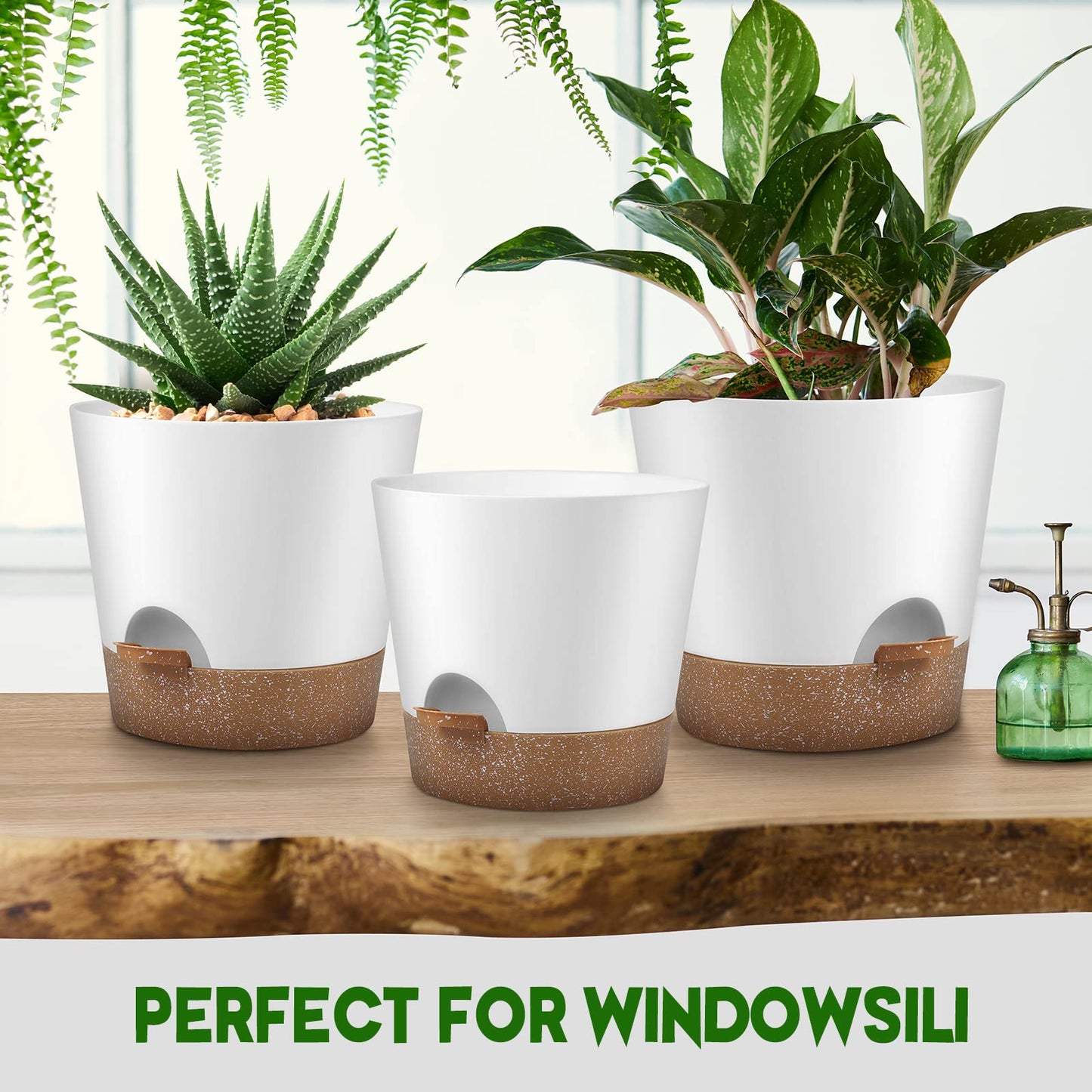 Indoor Self Watering Planters with Drainage Holes and Saucers, Black, 6 Pots