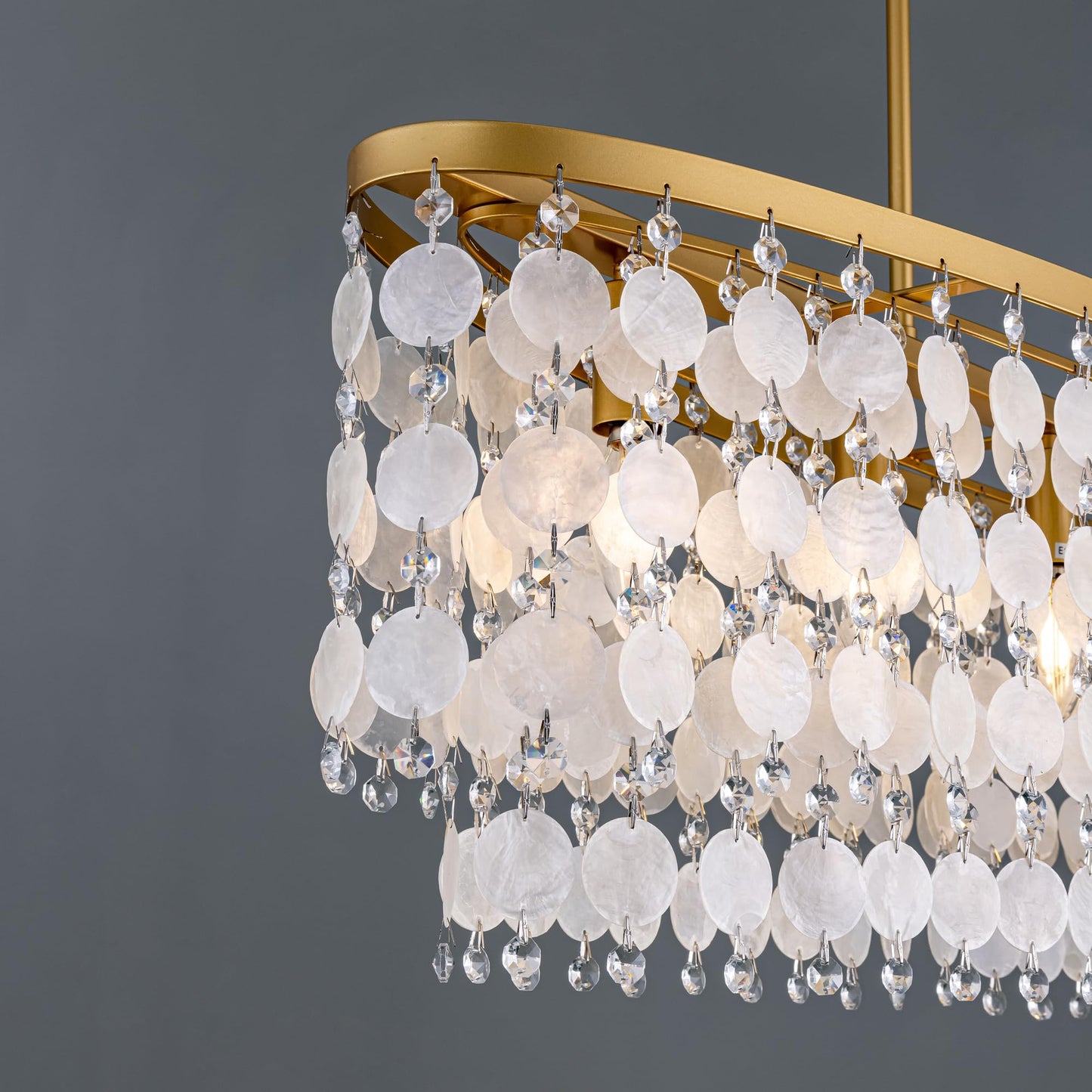 Shell Coastal Beach Lighting, 38.2" L Modern Gold Chandelier